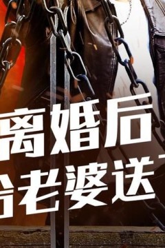 离婚后，我给老婆送飞机