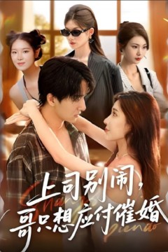 上司别闹哥只想应付催婚