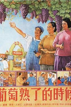 葡萄熟了的时候