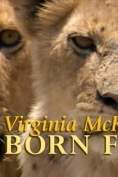 弗吉尼亚·麦肯娜回顾《生来自由》