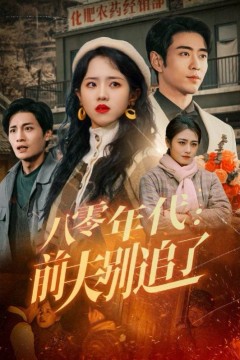 八零年代前夫别追了