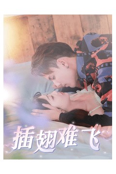 插翅难飞短剧版