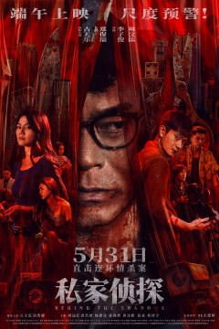 私家侦探(国语版)