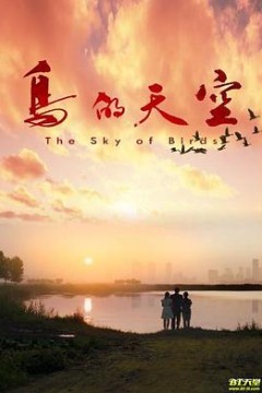 鸟的天空