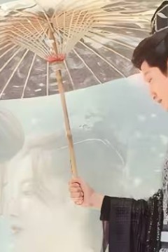 重生复仇之王妃她不好惹