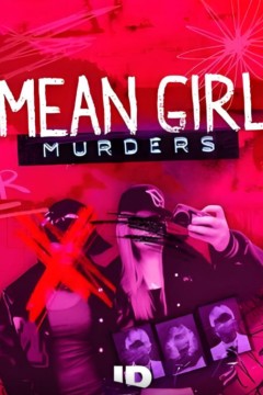 贱女孩谋杀案第三季