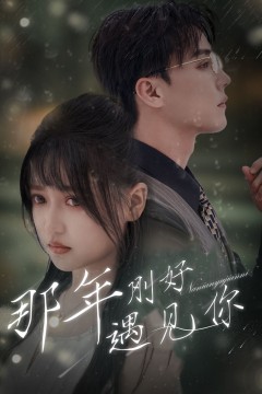 那年刚好遇见你(那年遇见你)