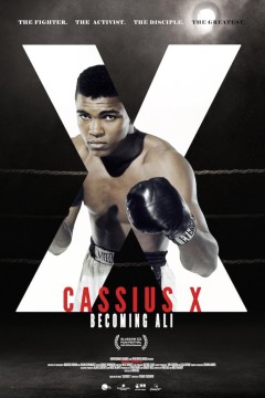 卡西乌斯十世：成为阿里