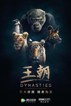 王朝第一季英文版