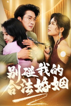 别碰我的合法婚姻(天大地大老婆最大)