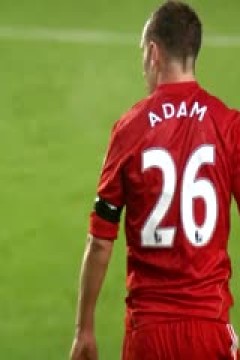 英超 富勒姆vs埃弗顿 (黄航) 20240130