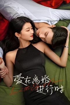 爱在离婚进行时2025