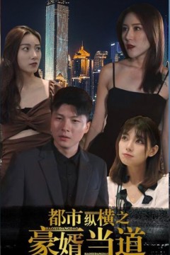 都市纵横之豪婿当道