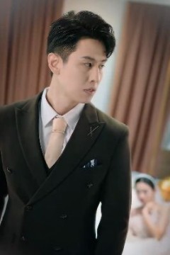 傅少的替身新娘