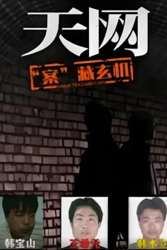 天网：“案”藏玄机