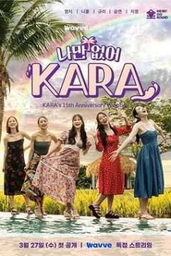 只有没有我 KARA