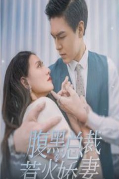 腹黑总裁的惹火娇妻