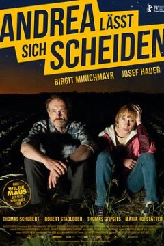 安德莉亚离婚记