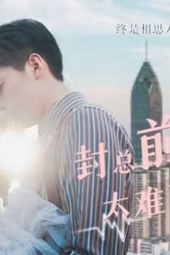 封总前妻太难追