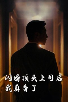 新闪婚顶头上司后我真香了