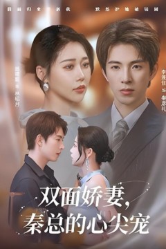 双面娇妻秦总的心尖宠(夫人又野又飒)