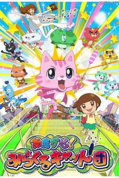 交给你了！奇迹猫团