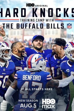 艰难的打击：布法罗比尔队的休赛期