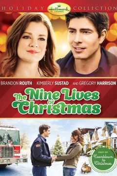 快乐的猫咪情缘