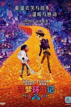 寻梦环游记(国语版)