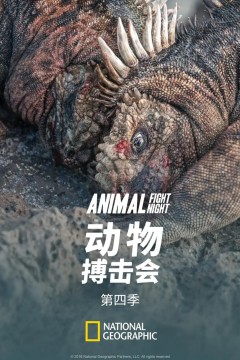 动物搏击会第四季