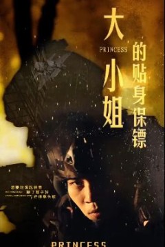 大小姐的贴身保镖(天命打工人)