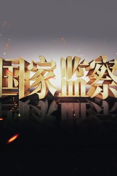 国家监察