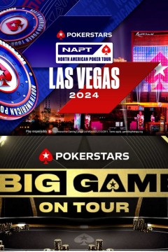 巡回赛上的重大比赛