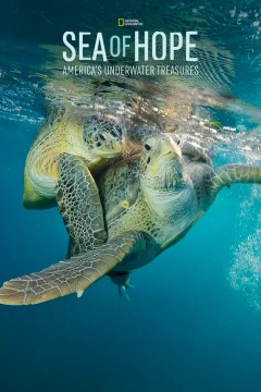 希望之海：美国海底之宝