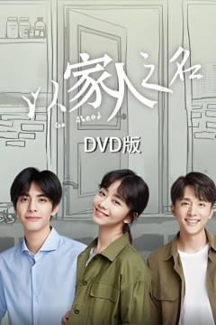 以家人之名 DVD版