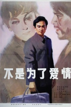 不是为了爱情