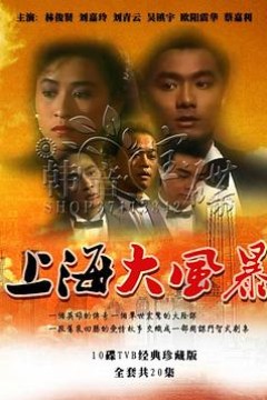 上海大风暴国语