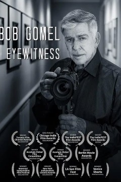鲍勃·戈梅尔目击者