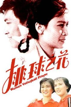排球之花
