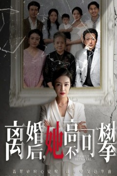 离婚后她高不可攀(至亲之人伤我最深)