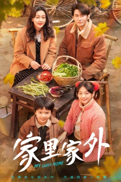 家里家外短剧版