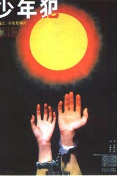 少年犯1985版