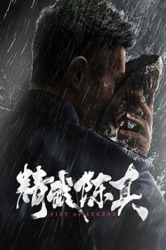 精武陈真电影版