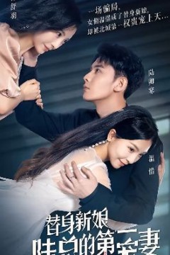 替身新娘：陆总的第一宠妻