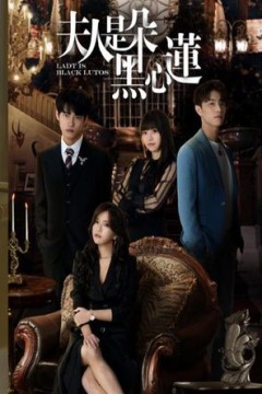 夫人是朵黑心莲