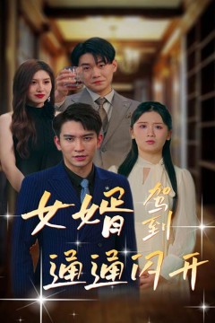 女婿驾到通通闪开