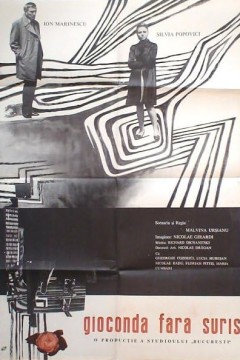 蒙娜丽莎无微笑