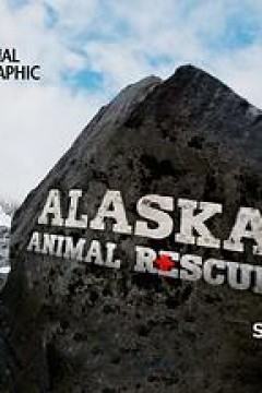 阿拉斯加野生动物救援