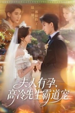 夫人有孕，高冷先生霸道宠