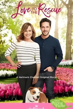 救助狗狗遇到爱